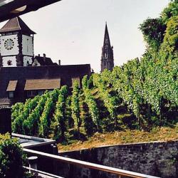Ausblick von der Terrasse